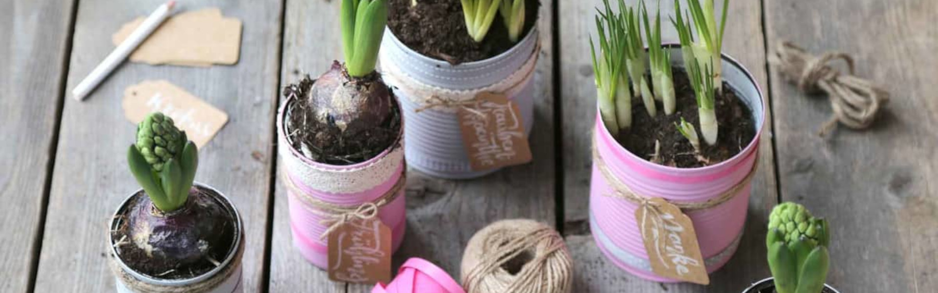 Blumentopf basteln aus Dose